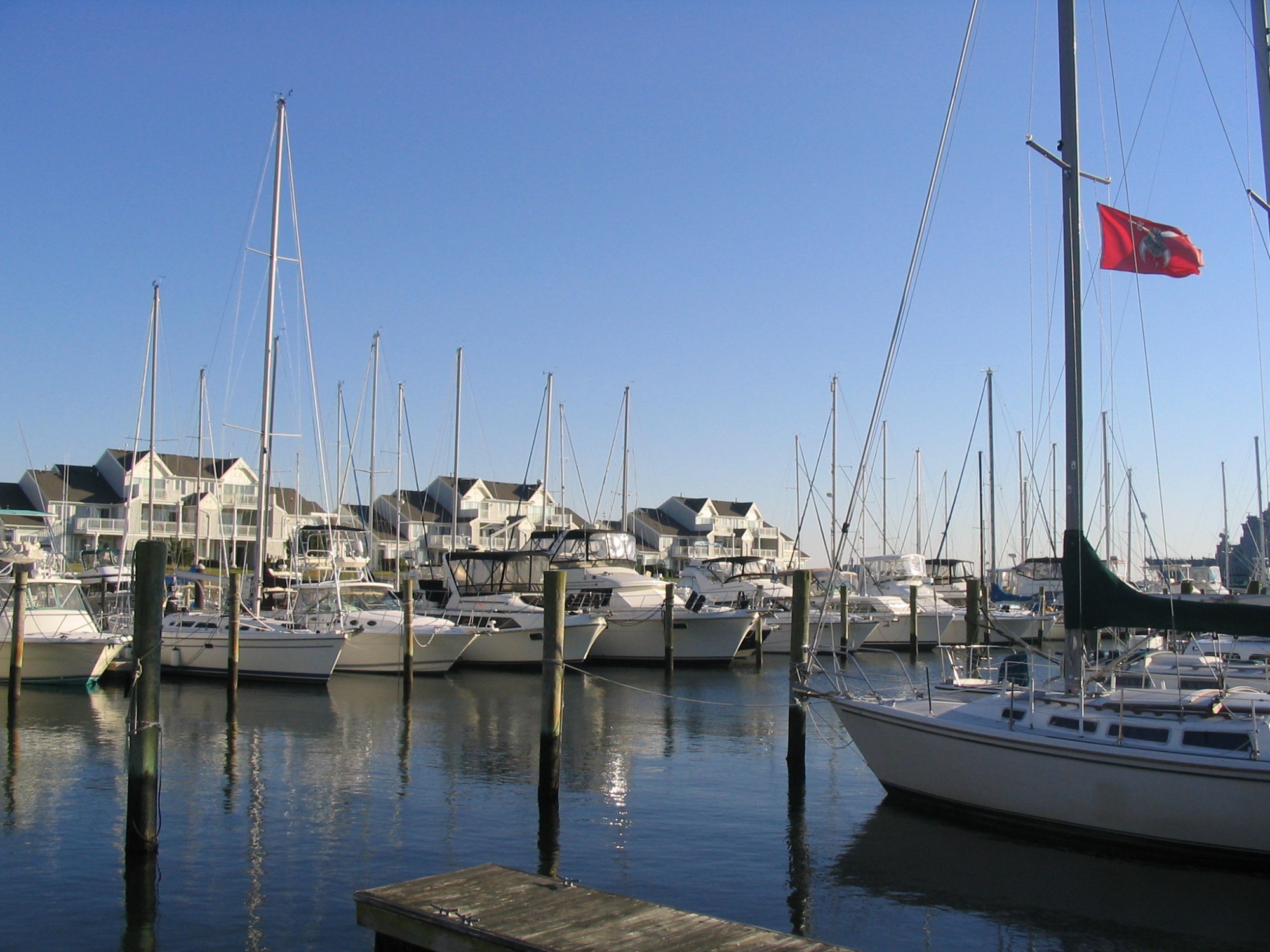 boats at marina