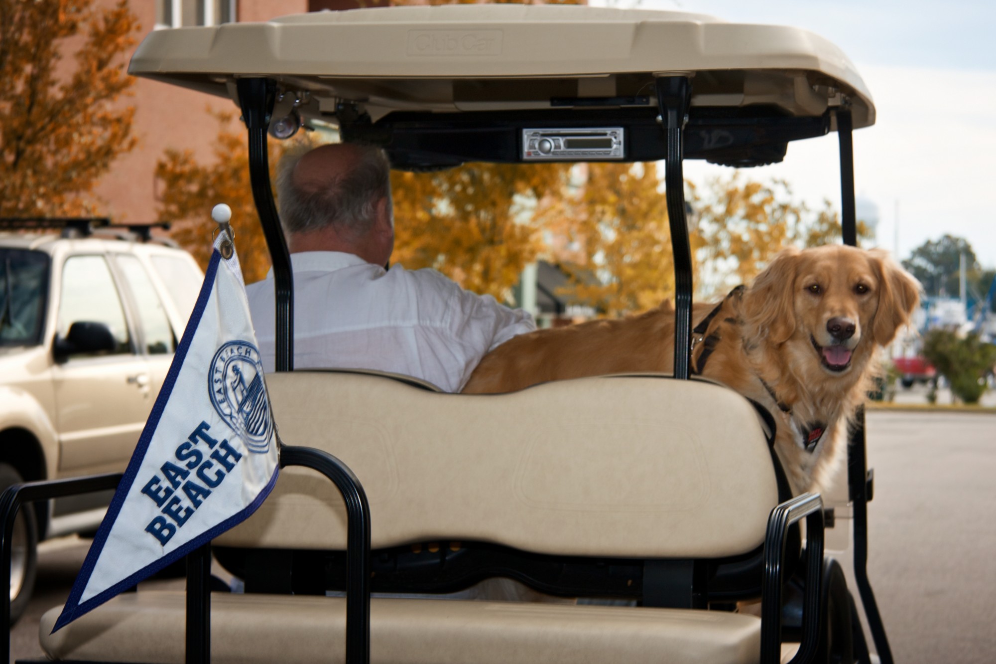 golf cart burgeehi res